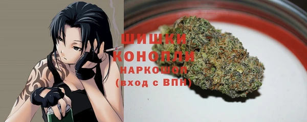 Альфа ПВП Белокуриха