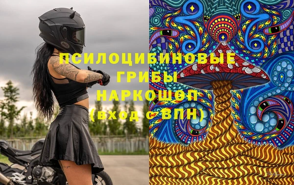 Альфа ПВП Белокуриха